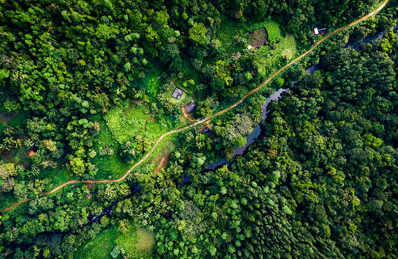 12-Day Grand Heritage & Nature Tour in Sri Lanka